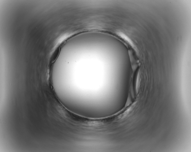 X0000086991461200704301328