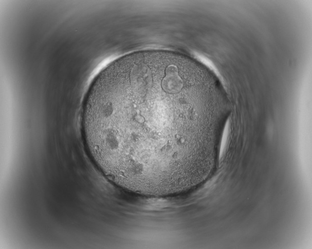 X0000086991463200704301328