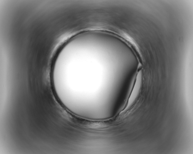 X0000086991464200704301328