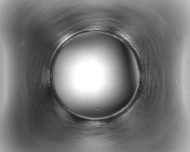 X0000086991465200704301328