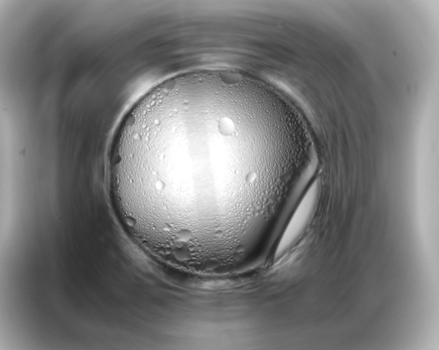 X0000086991467200704301328