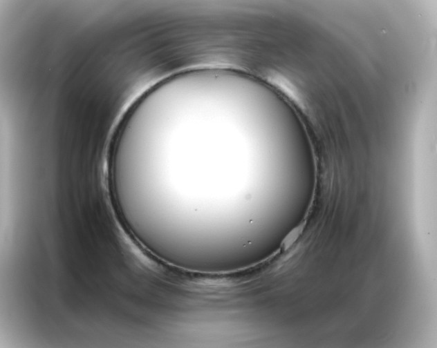 X0000086991468200704301328