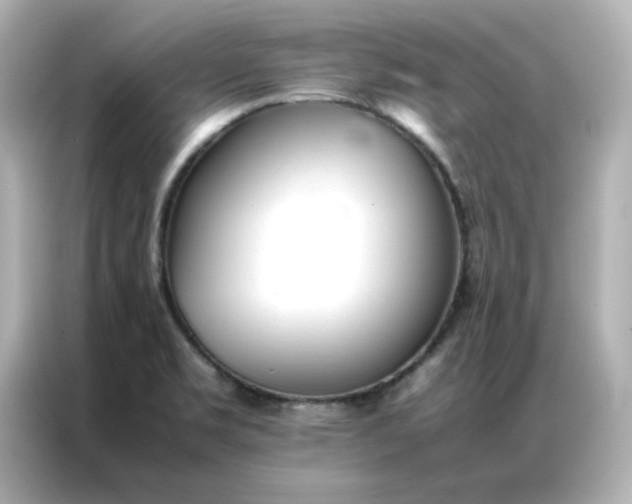 X0000086991469200704301328