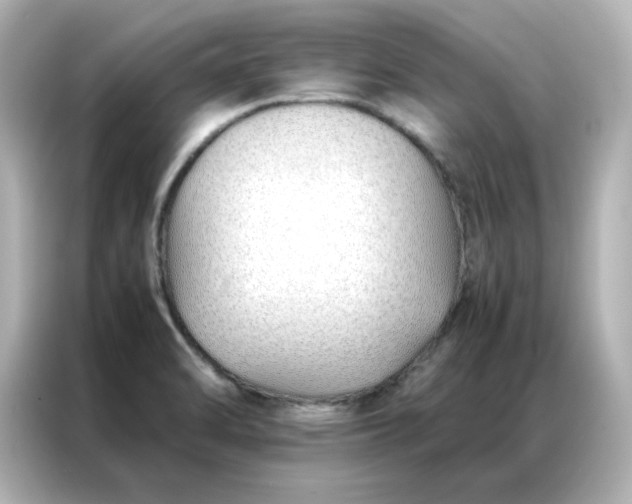 X0000086991470200704301328