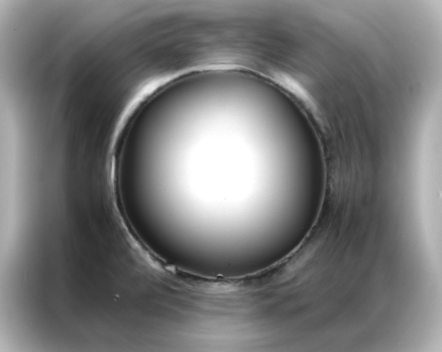 X0000086991472200704301328