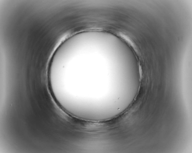 X0000086991475200704301328