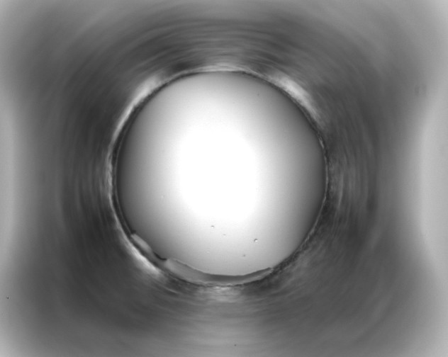 X0000086991476200704301328