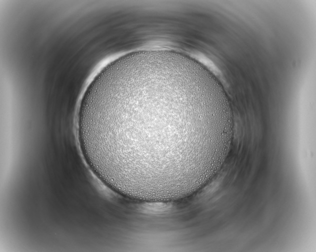 X0000086991478200704301328