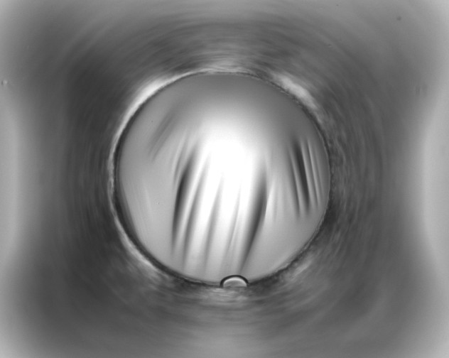 X0000086991479200704301328