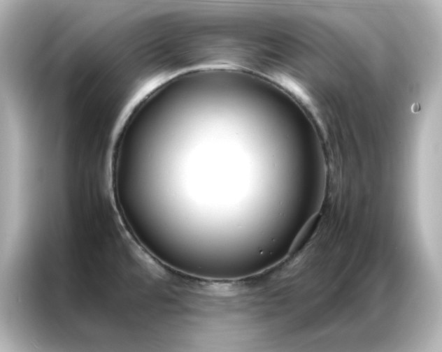 X0000086991480200704301328