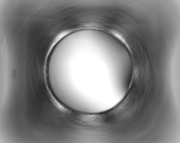 X0000086991482200704301328