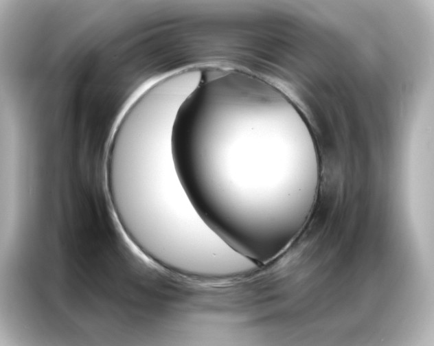 X0000086991484200704301328