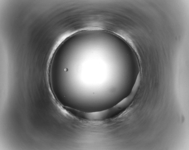 X0000086991488200704301327