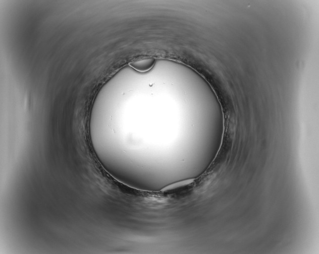 X0000086991489200704301327