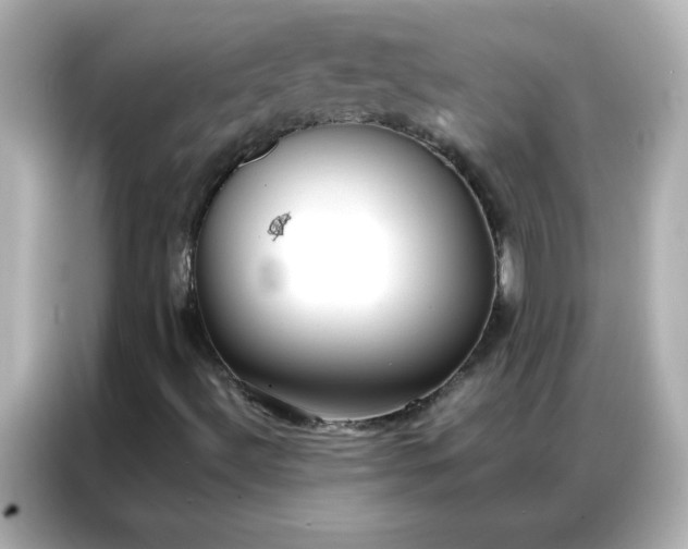 X0000086991492200704301327