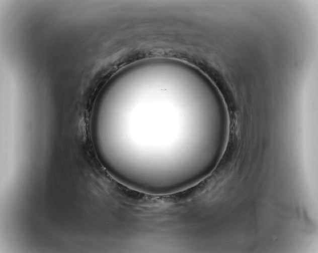 X0000086991493200704301327