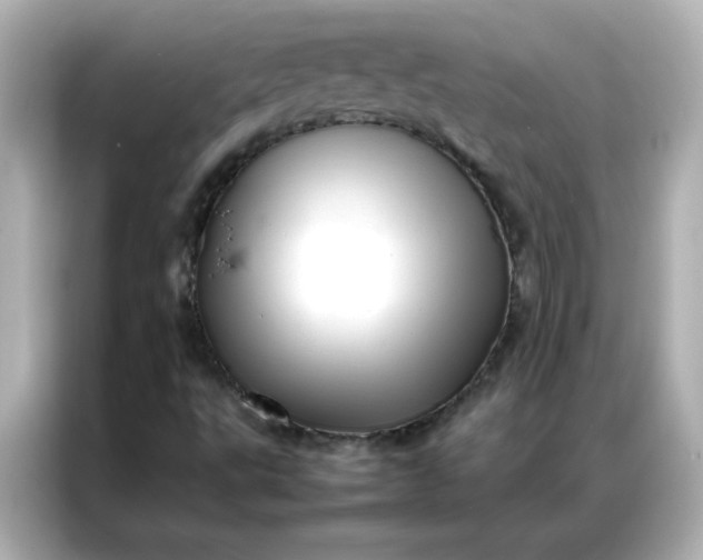 X0000086991495200704301327