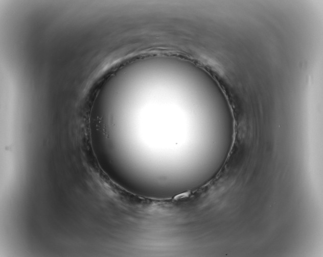 X0000086991496200704301327