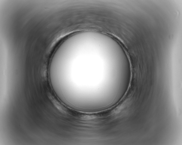 X0000086991499200704301327