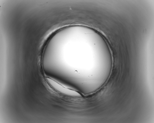 X0000086991503200704301327