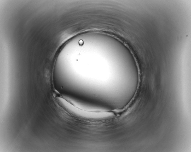 X0000086991505200704301327