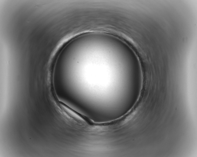 X0000086991506200704301327