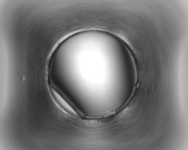 X0000086991508200704301327