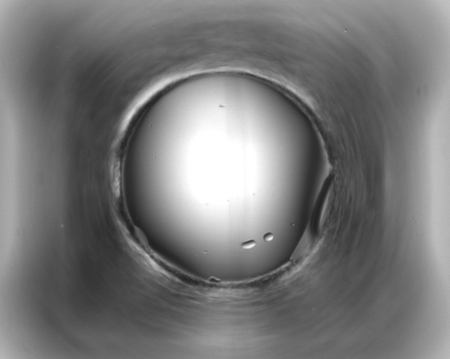 X0000086991510200704301327