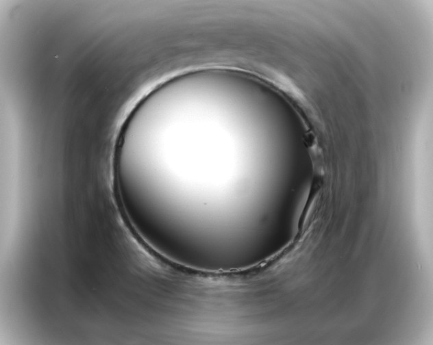 X0000086991512200704301327