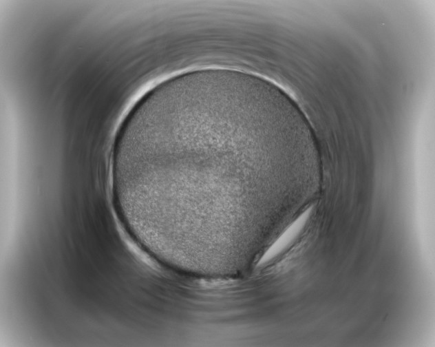 X0000086991515200704301327