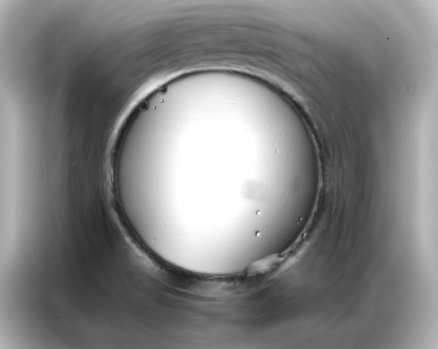 X0000086991517200704301327