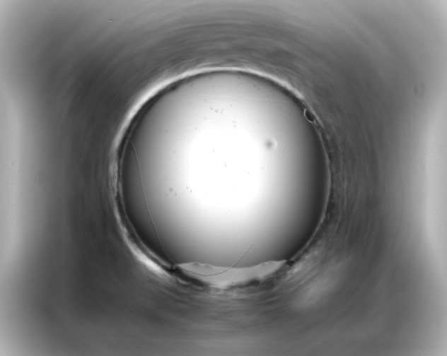 X0000086991519200704301327