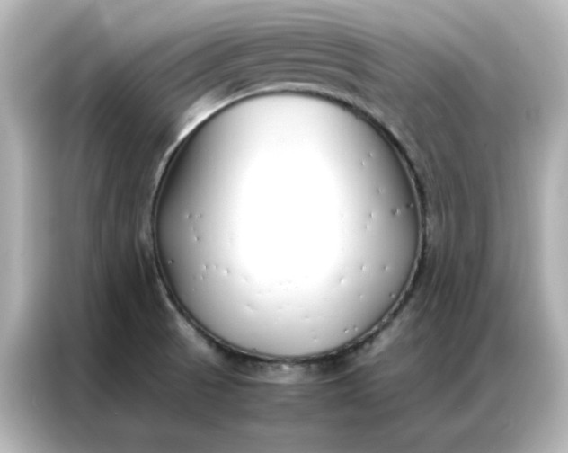 X0000086991521200704301327