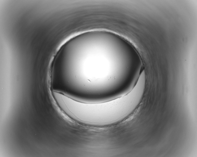 X0000086991526200704301327