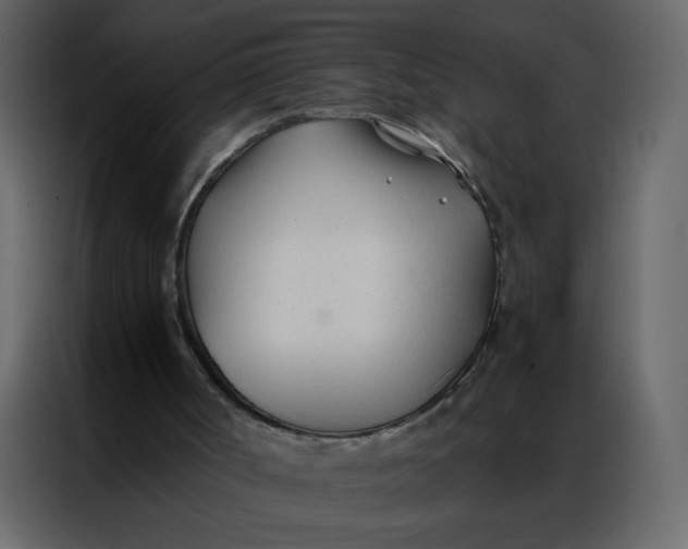 X0000086990002200705071446