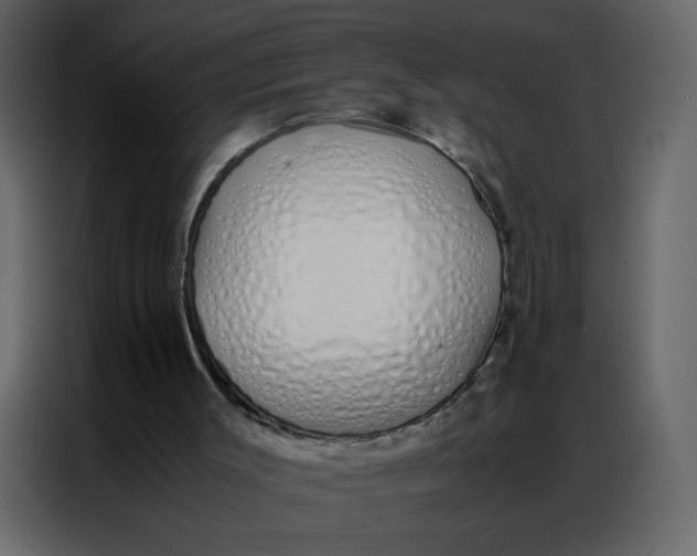 X0000086990003200705071446