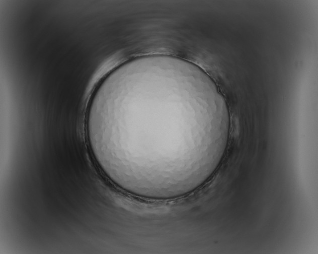 X0000086990004200705071446