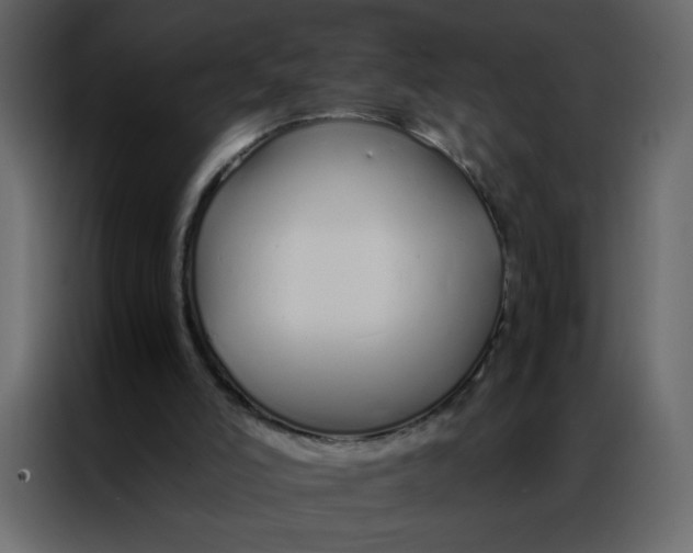 X0000086990006200705071446