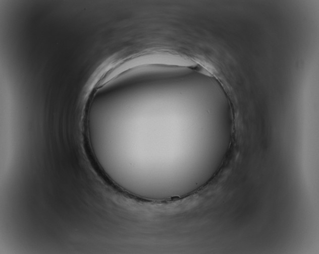 X0000086990007200705071446