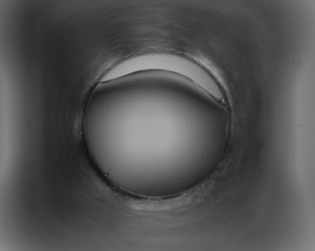 X0000086990009200705071446