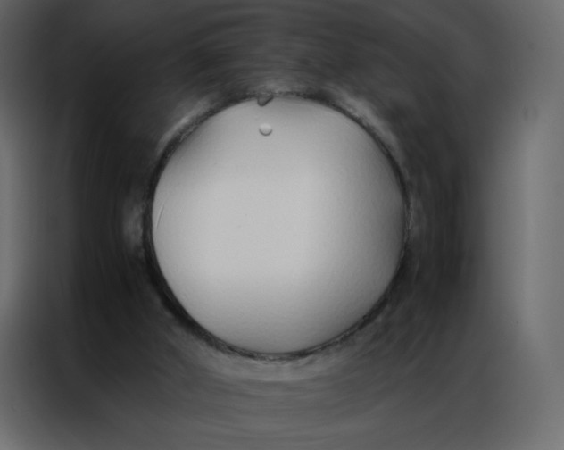 X0000086990010200705071446