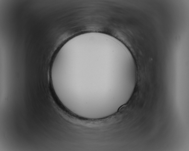 X0000086990011200705071446