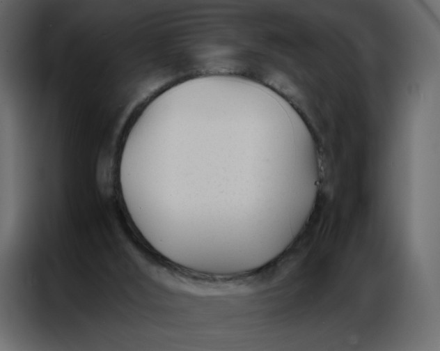 X0000086990012200705071446