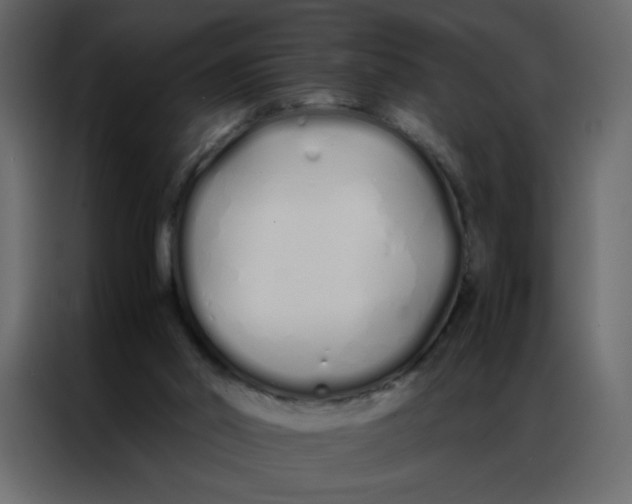 X0000086990014200705071445