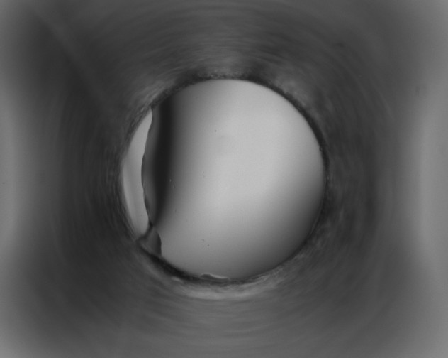 X0000086990017200705071445