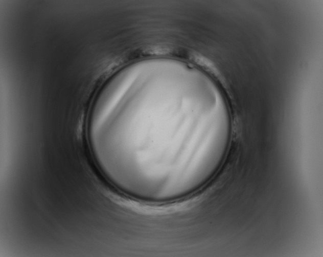 X0000086990018200705071445