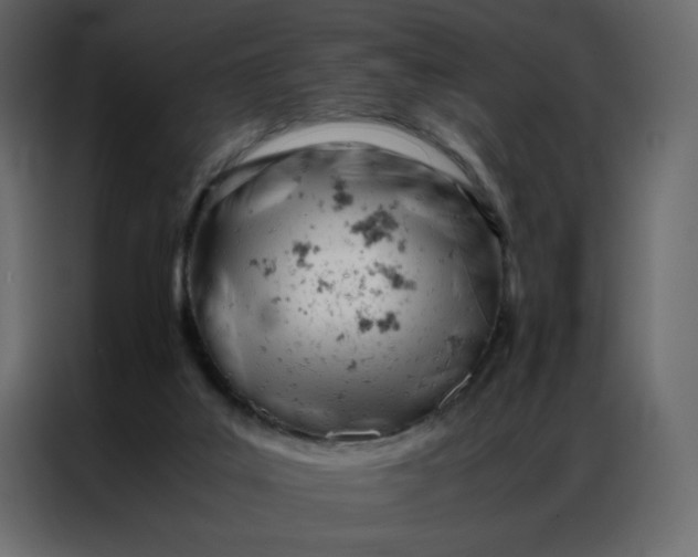 X0000086990019200705071445