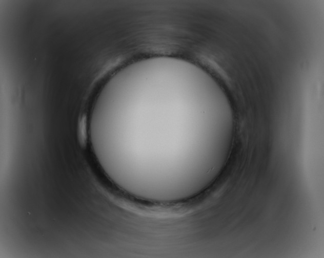 X0000086990020200705071445