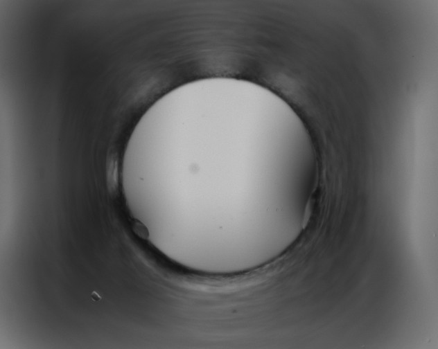 X0000086990021200705071445