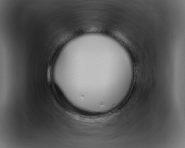 X0000086990022200705071445